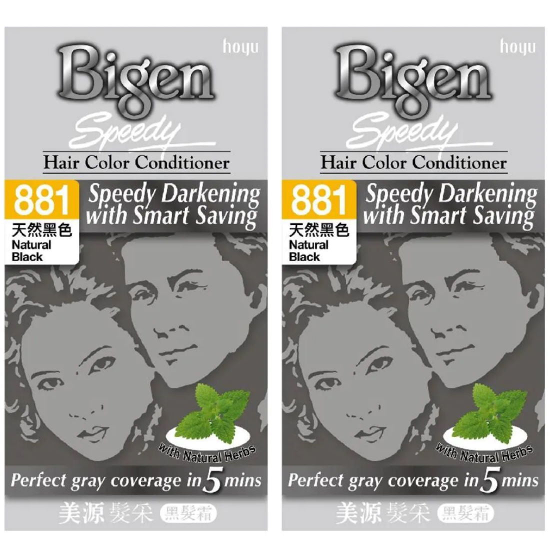 (BUNDLE OF 2) BIGEN SPEEDY HAIR COLOR CONDITIONER 881 NATURAL BLACK