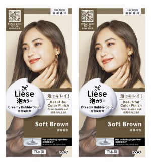(BUNDLE OF 2) LIESE NATURAL SERIES CREAMY BUBBLE HAIR COLOR SOFT BROWN