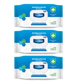 (BUNDLE OF 3) DEEP FRESH ANTIBACTERIAL WET WIPES 100PCS