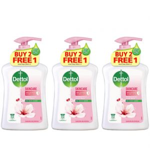 (BUNDLE OF 3) DETTOL ANTIBACTERIAL HAND WASH - SKIN CARE 2X250ML+250ML