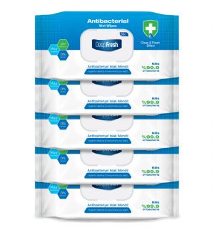 (BUNDLE OF 5) DEEP FRESH ANTIBACTERIAL WET WIPES 56PCS
